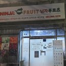 마이요거트립제주