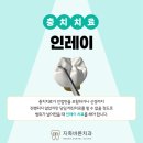 이바른치과기공소 이미지