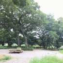 나불도 승마랜드 이미지