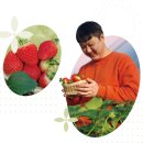 김성섭 농장 네이버블로그