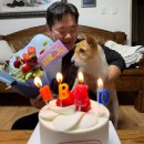 티지스크린골프 | {경험주의자의 일상} : 26 - 2