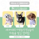 수원시동물보호센터 동물병원 이미지