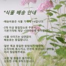드로어플랜트