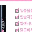 뽕스언니 네이버블로그