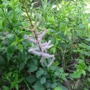 호평초등학교 이미지