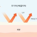 썬테라피 네이버블로그