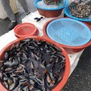 신탄진시장 이미지