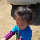 희민농장 이미지