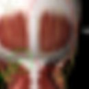 이개의한의원 이미지