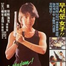 예스비디오 이미지