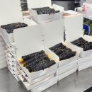 선비꼬마김밥 면목점 이미지