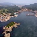 The 산수유