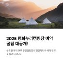 수풀누리 잔디마당 | 2025 평화누리캠핑장 예약 꿀팁과 사이트별 추천 명당자리