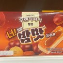 2025 일상 문답 2