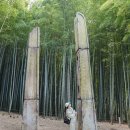 4호선 반여농산물시장역 | 부산 기장 아홉산숲 데이트 놀거리로 좋은 힐링 대나무숲