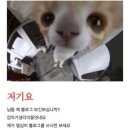 바다사랑회포차 이미지