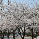 월드컵경기장 주변 뒷길 이미지
