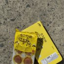 남해 여행 기념품 남해유자빵
