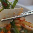배나무골가마솥칼국수 - 1133 | 배나무골가마솥칼국수