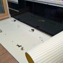 프리파크 이미지