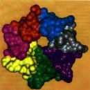 전신 온열요법에 의한 열활성 단백질 생성 기전과 암 억제 유전자 P53의 회복 기전 이미지