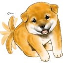 스마일명품찹쌀꽈배기도청점