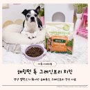 와와치킨 - 의정부시 회룡로137번길 22 | 해링턴 치킨 강아지 그레인프리사료 급여 후기
