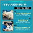 푸른힐동물병원 네이버블로그