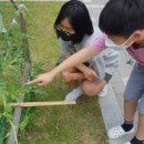 서경초교 이미지