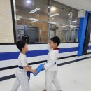 일비태권도장 이미지