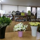 평생문화센터 양재교육원 네이버블로그