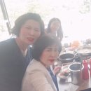 울산중앙특약점