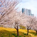 가곡체육공원 이미지