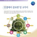 박물관이야기 Daum카페