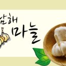 다모아영농조합법인 이미지
