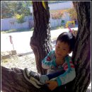 무지개 서는 마을 이미지