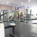 팀준