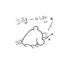 로이네 애견호텔 이미지