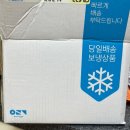 펫잇보리 이미지