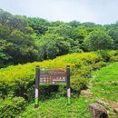 완도수목원 이미지