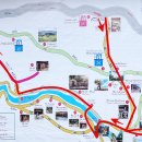 Cat garden 이미지