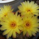 금호농장 이미지