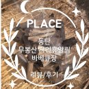 예술인마을 펜션 | [동탄] 무봉산 자연휴양림 바베큐장 리뷰/후기