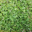 서귀포기적의도서관 이미지