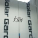 폴라버텍스
