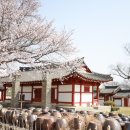 예산군대흥보건지소 이미지