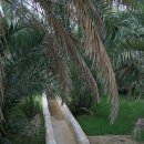세계문화유산 (173) / 오만 아플라즈 관개 시설 유적지(Aflaj Irrigation Systems of Oman; 2006) 이미지