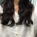포쉬밥