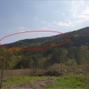 월운마을회관 이미지