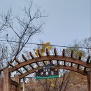 치악산둘레길 2코스 구룡길 | [원주 치악산둘레길] 치악산 둘레길 2코스 구룡길 다녀왔어요(#길동무)